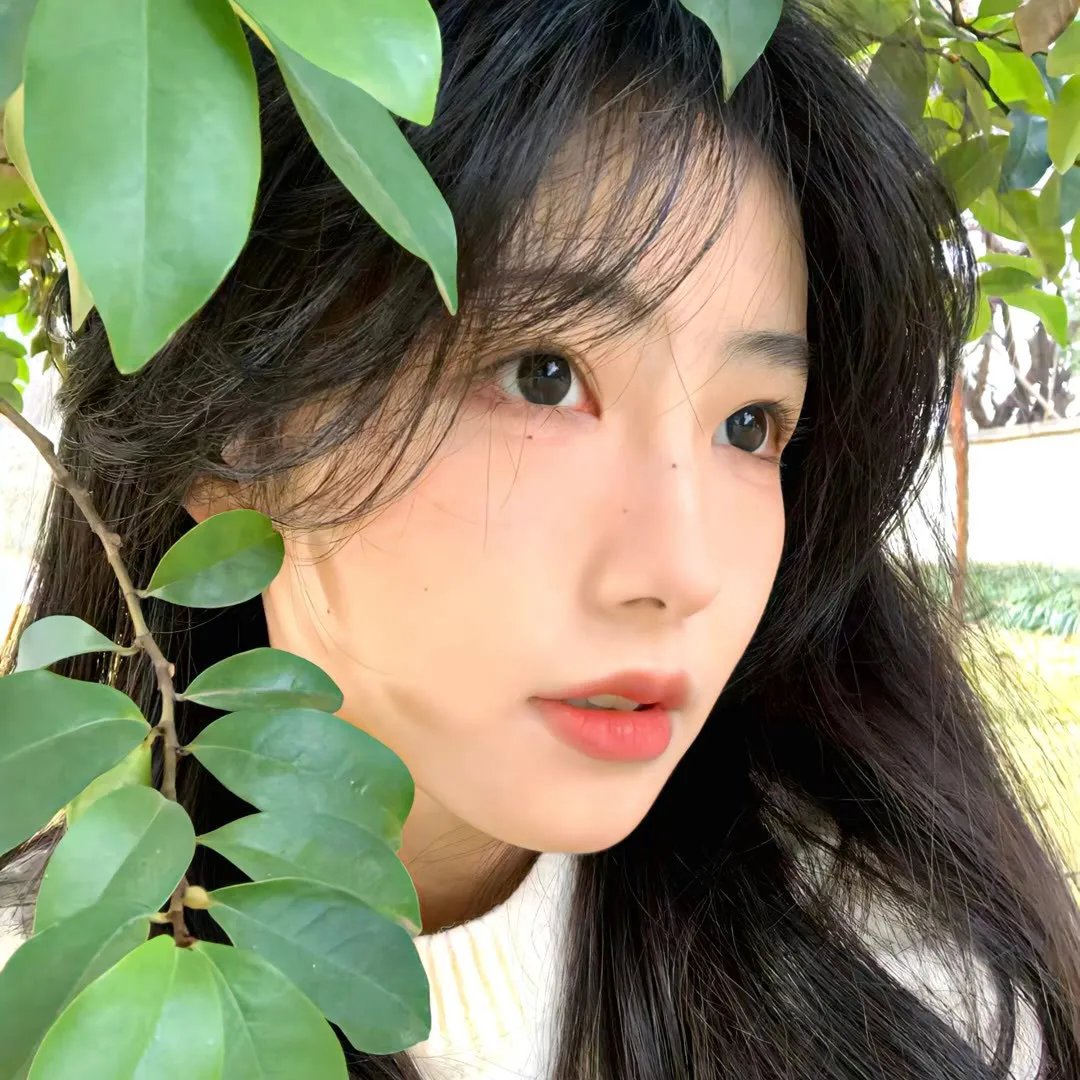 爱情公寓第一季